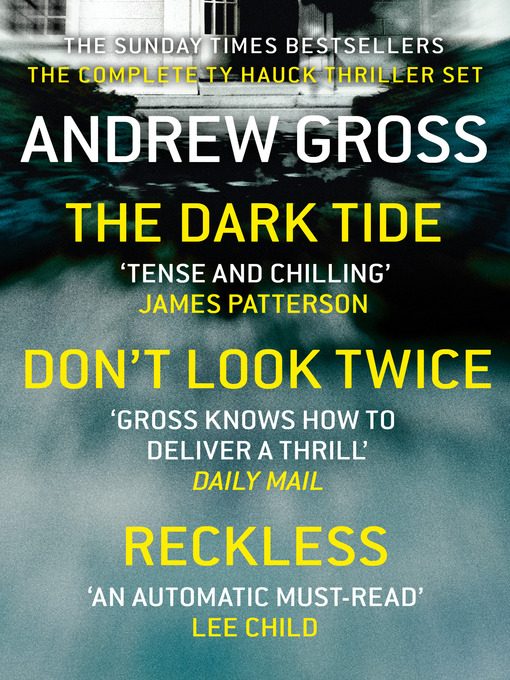 Title details for Andrew Gross 3-Book Thriller Collection 1 by Andrew Gross - Available